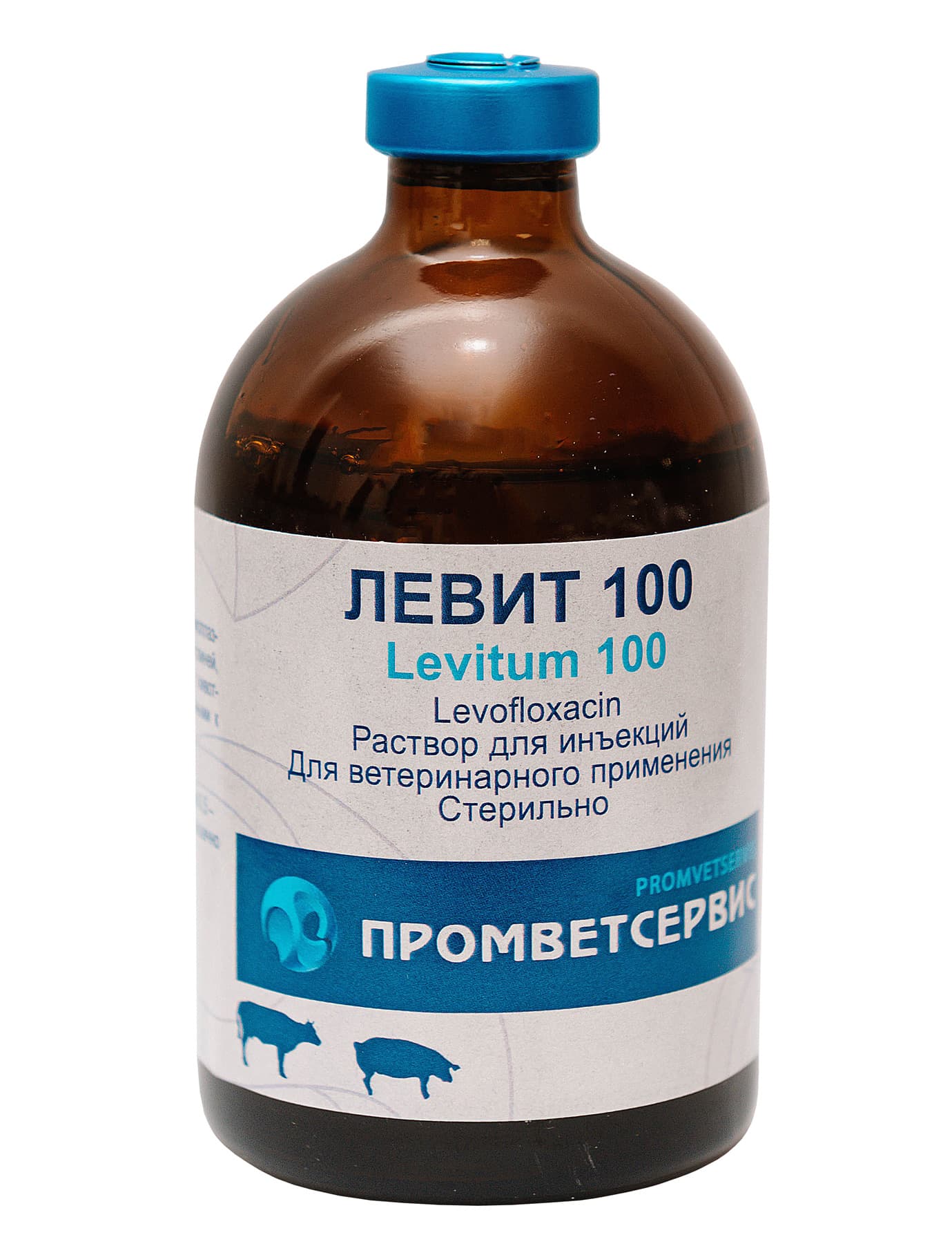 Левит 100