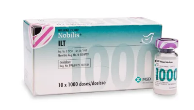 Nobilis ILT