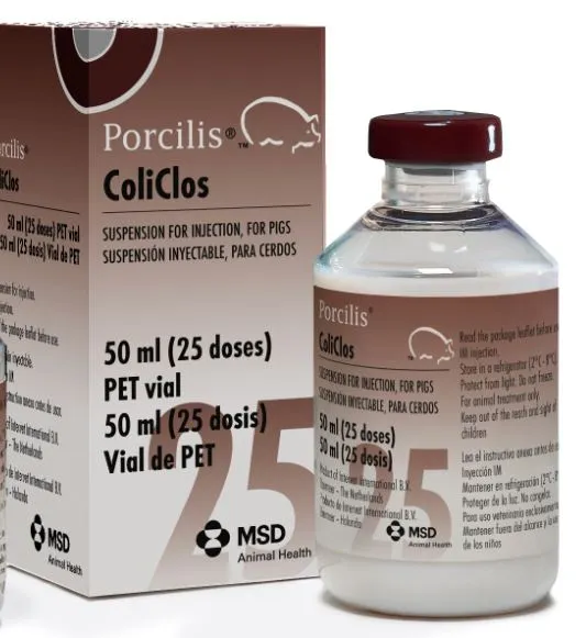 Porcilis ColiClos