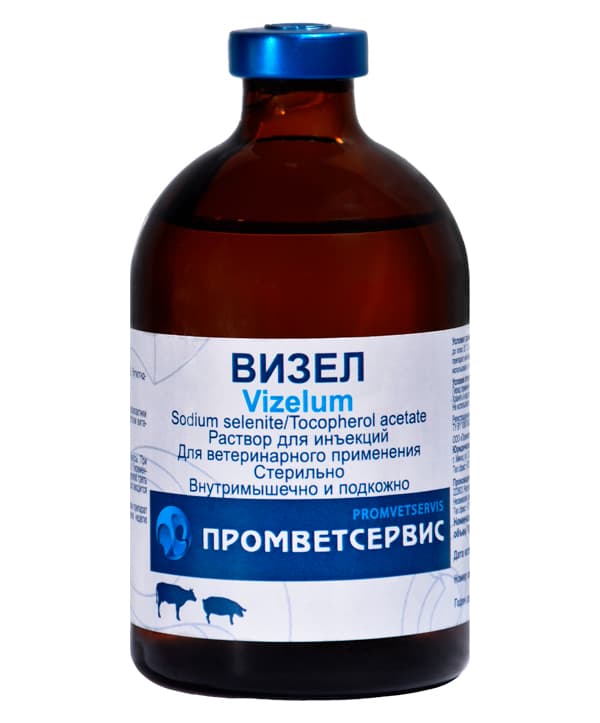 Визел